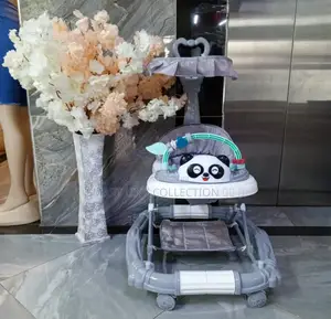 2 In1 Baby Walker