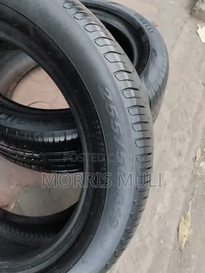 255/5019 Pirelli