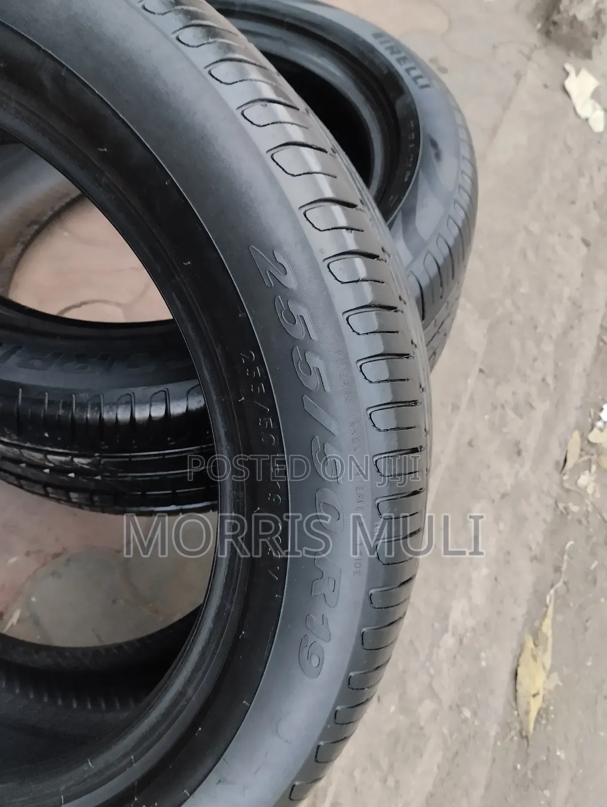 255/5019 Pirelli