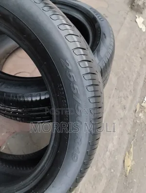 255/5019 Pirelli