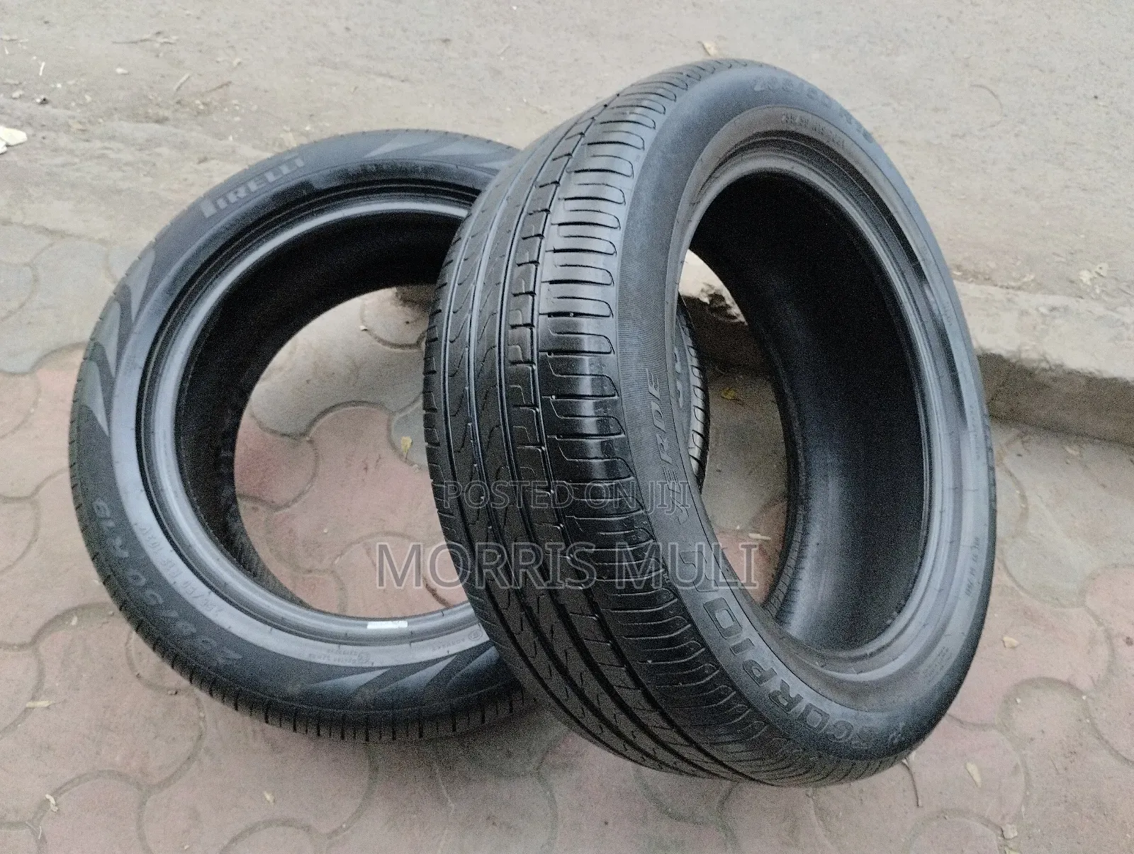 255/5019 Pirelli