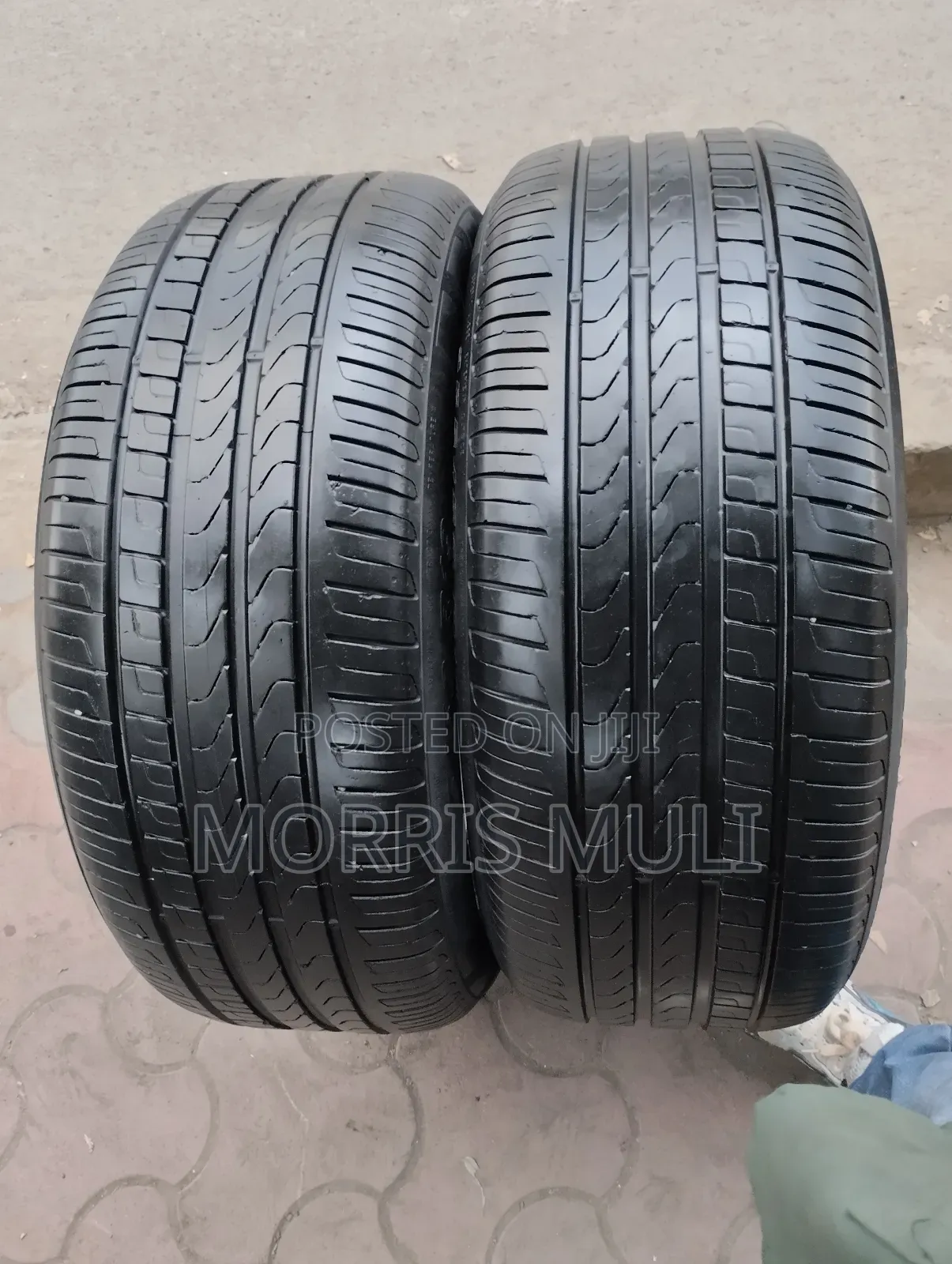 255/5019 Pirelli
