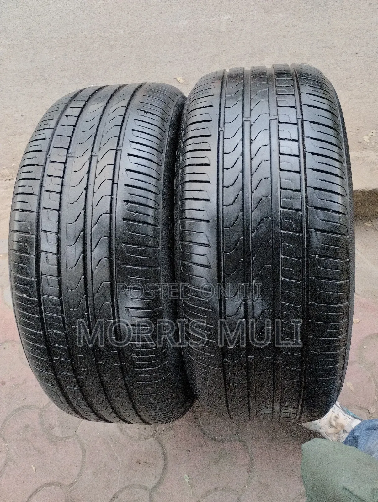 255/5019 Pirelli