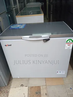 Excel Deep Freezer