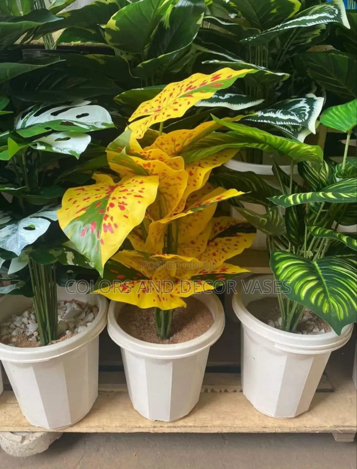 Various Types of Artificial Plants and Vases