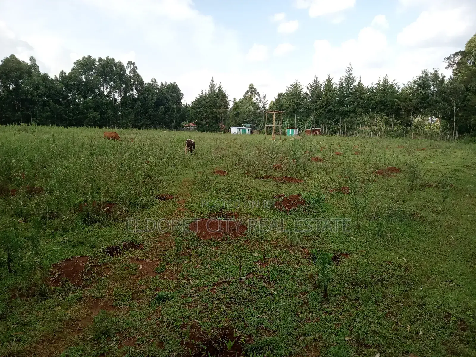 2 Acres Kapseret by- Pass Road 2km From Interchange