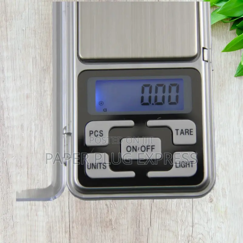 Electronic Pocket Weighing Scale - 1000g Max