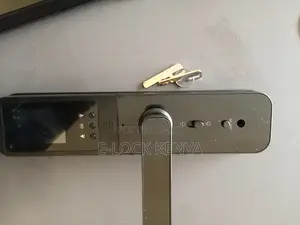 Advanced Biometric Locks for Security