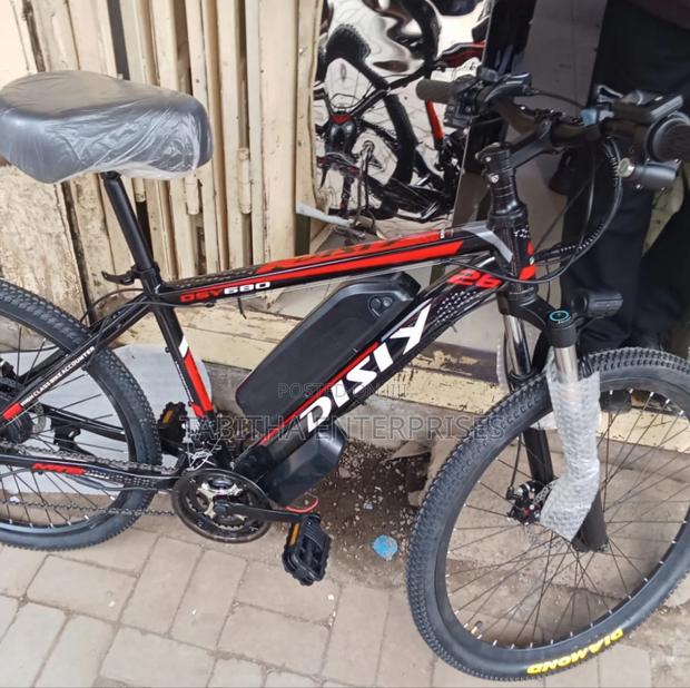 Electric Bike - main view