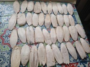 Cuttlefish Bones - thumbnail 2