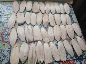 Cuttlefish Bones