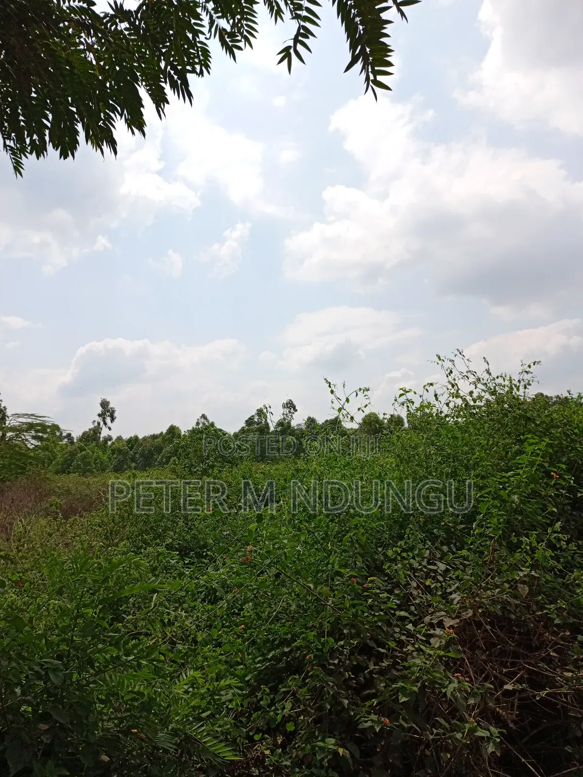 Prime Land on Sale, 60 Acres Muthaiga North