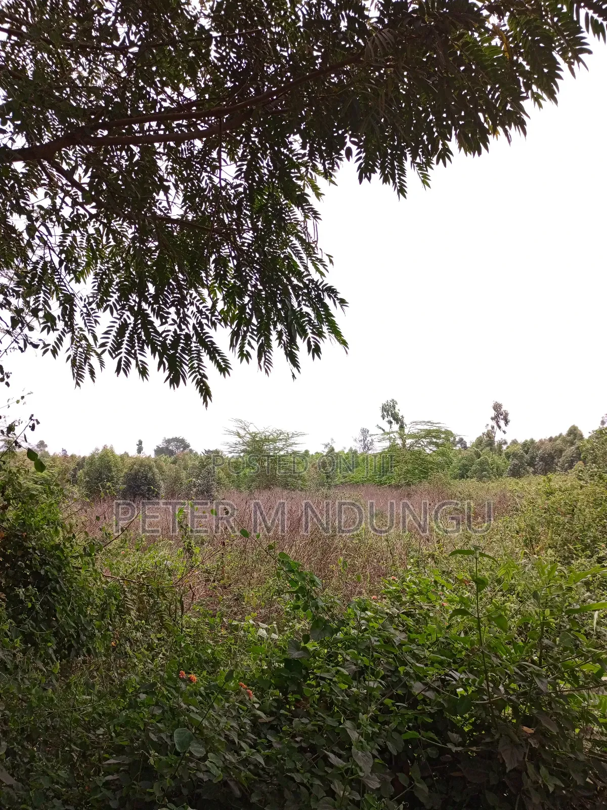 Prime Land on Sale, 60 Acres Muthaiga North