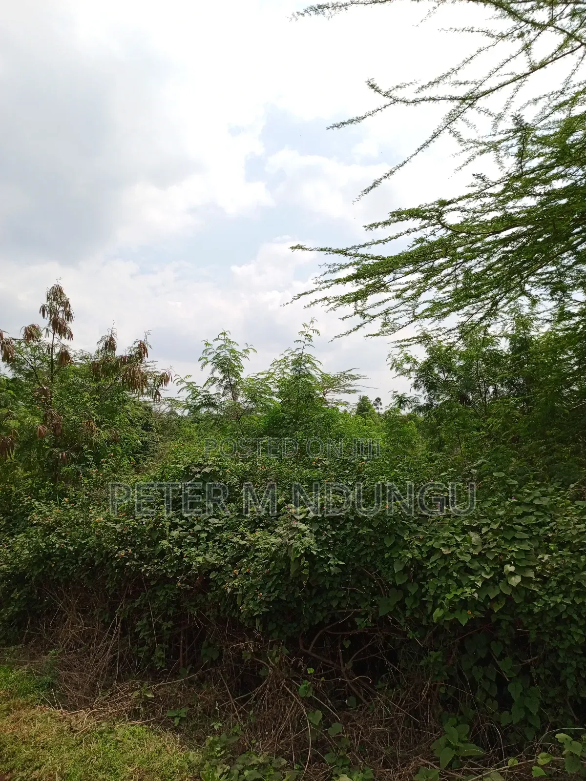 Prime Land on Sale, 60 Acres Muthaiga North