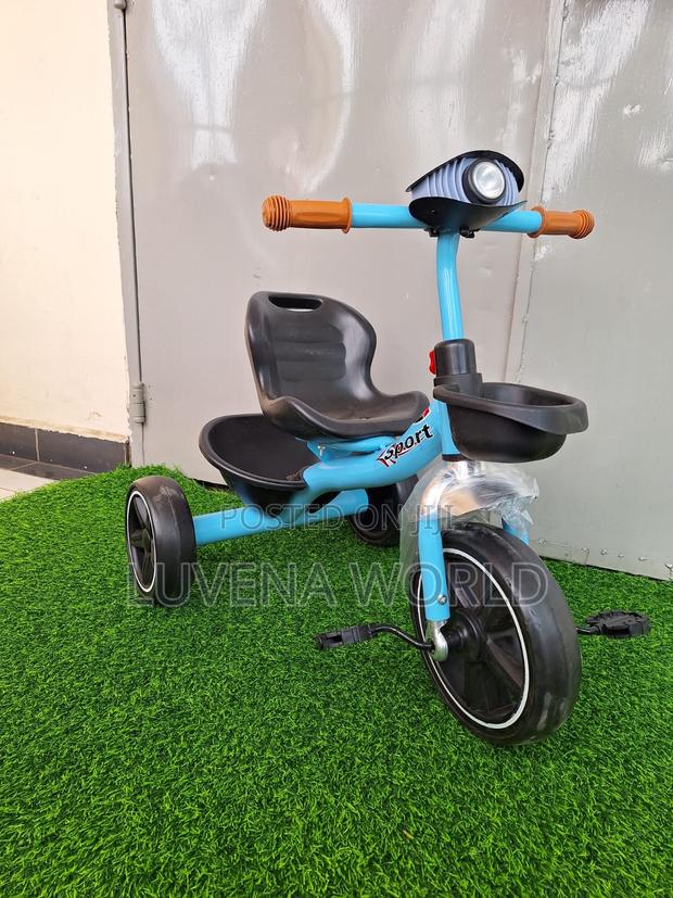 Musical Tricycle - main view