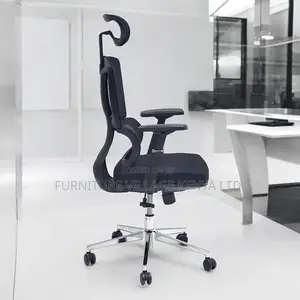 Lama High-Back Orthopedic Office Seat (Ergonomic Chair)