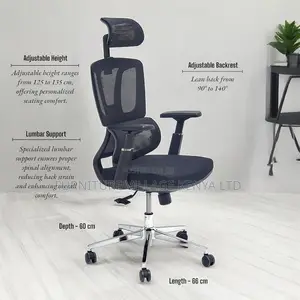 Lama High-Back Orthopedic Office Seat (Ergonomic Chair)