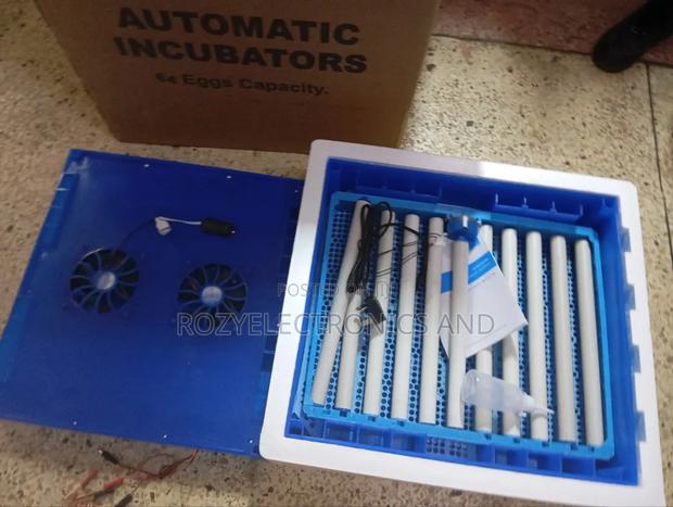 64 Eggs Automatic Incubator