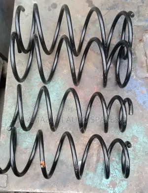 Suzuki Heavy Duty Coils Springs