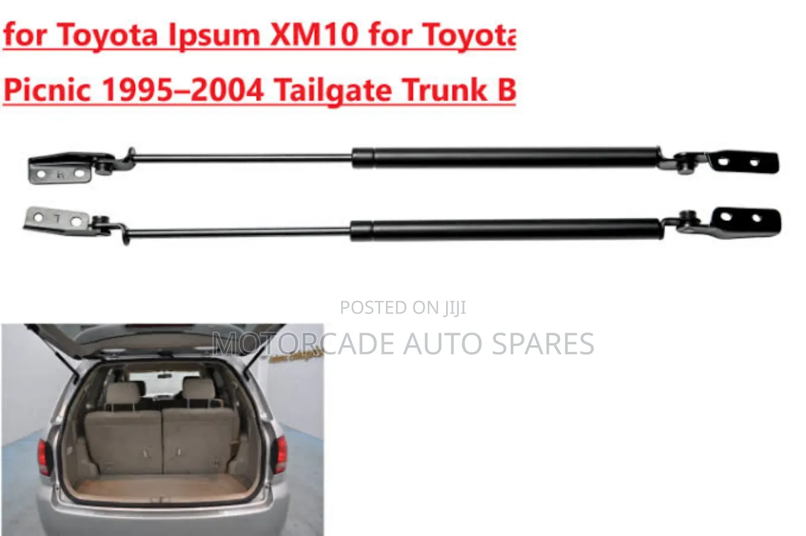 Toyota Ipsum Boot Shocks
