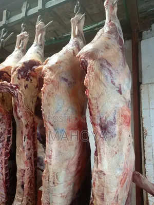 Beef Mutton Supplies