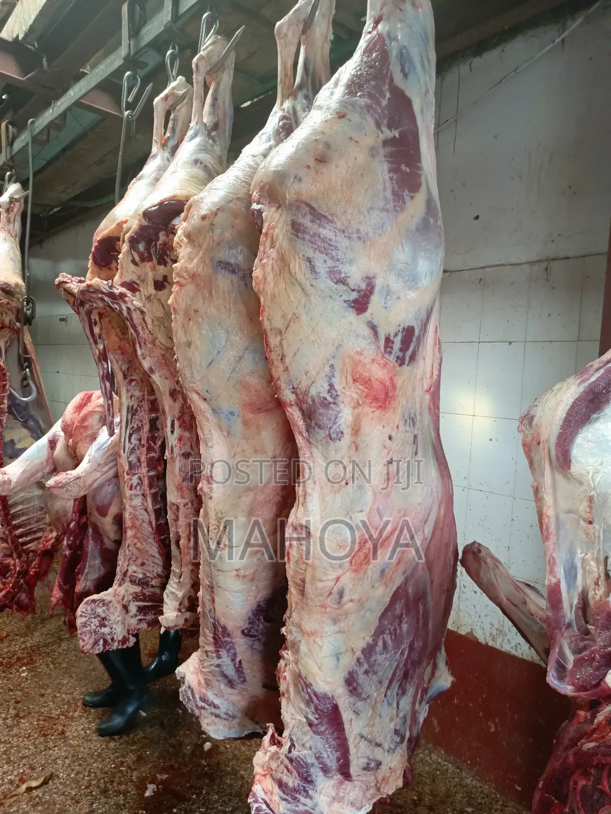 Beef Mutton Supplies