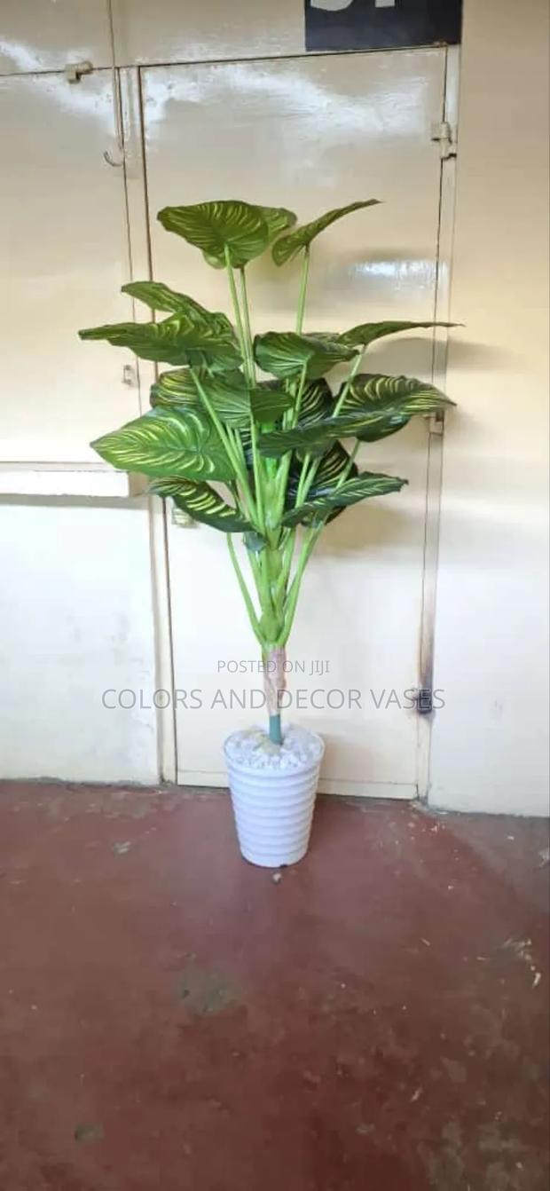 Beautiful Plant With Vase