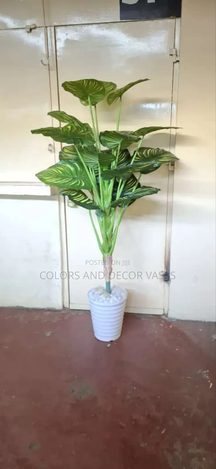 Beautiful Plant With Vase
