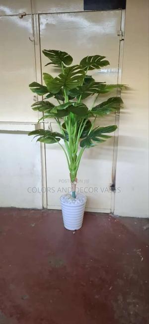 Classy Monstera Plant Plus Vase - thumbnail 2