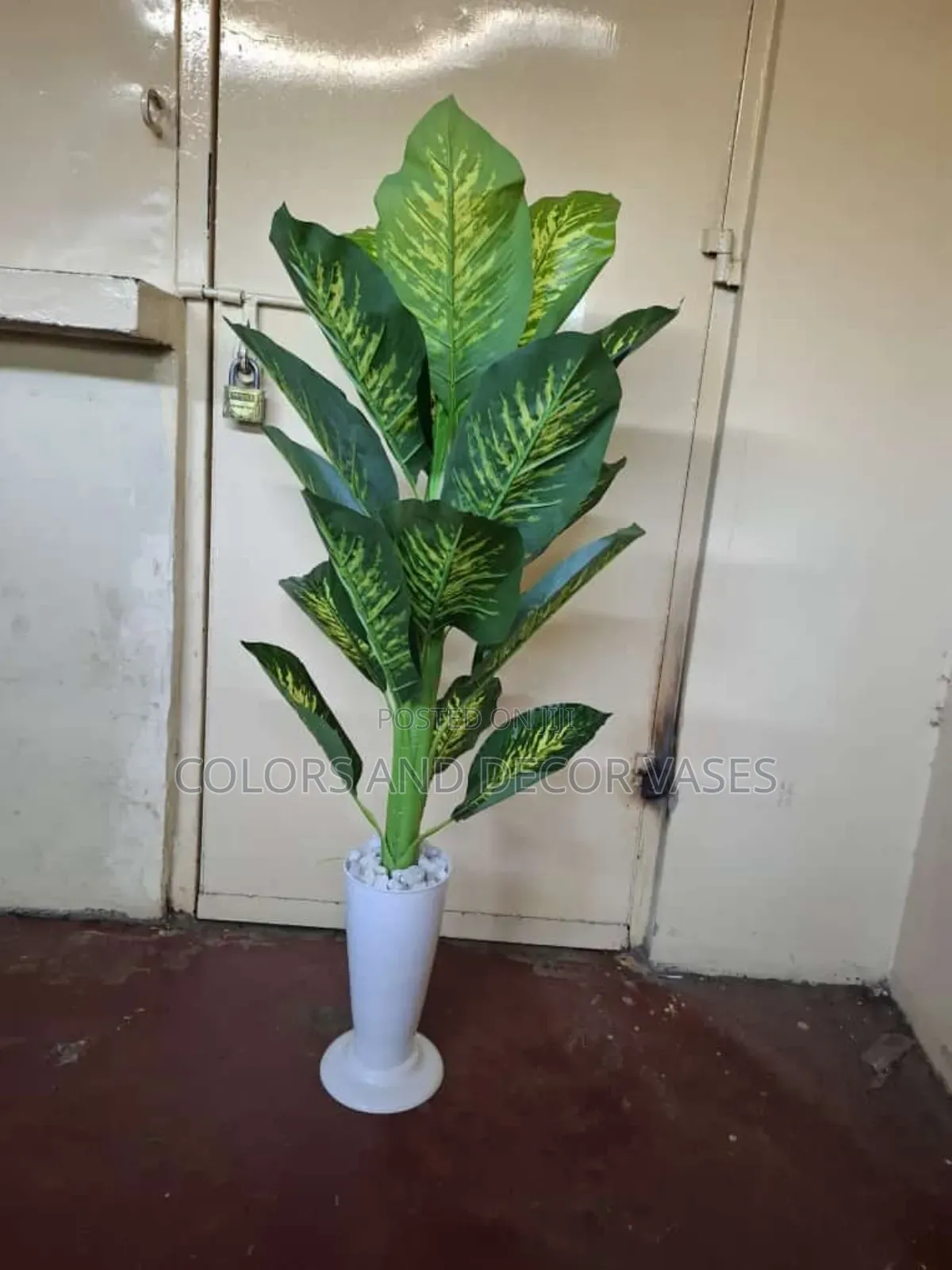 Yellow Green Plant With Vase Available