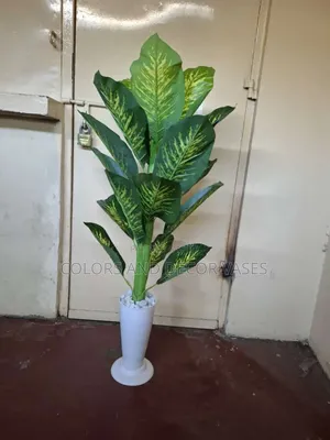 Yellow Green Plant With Vase Available