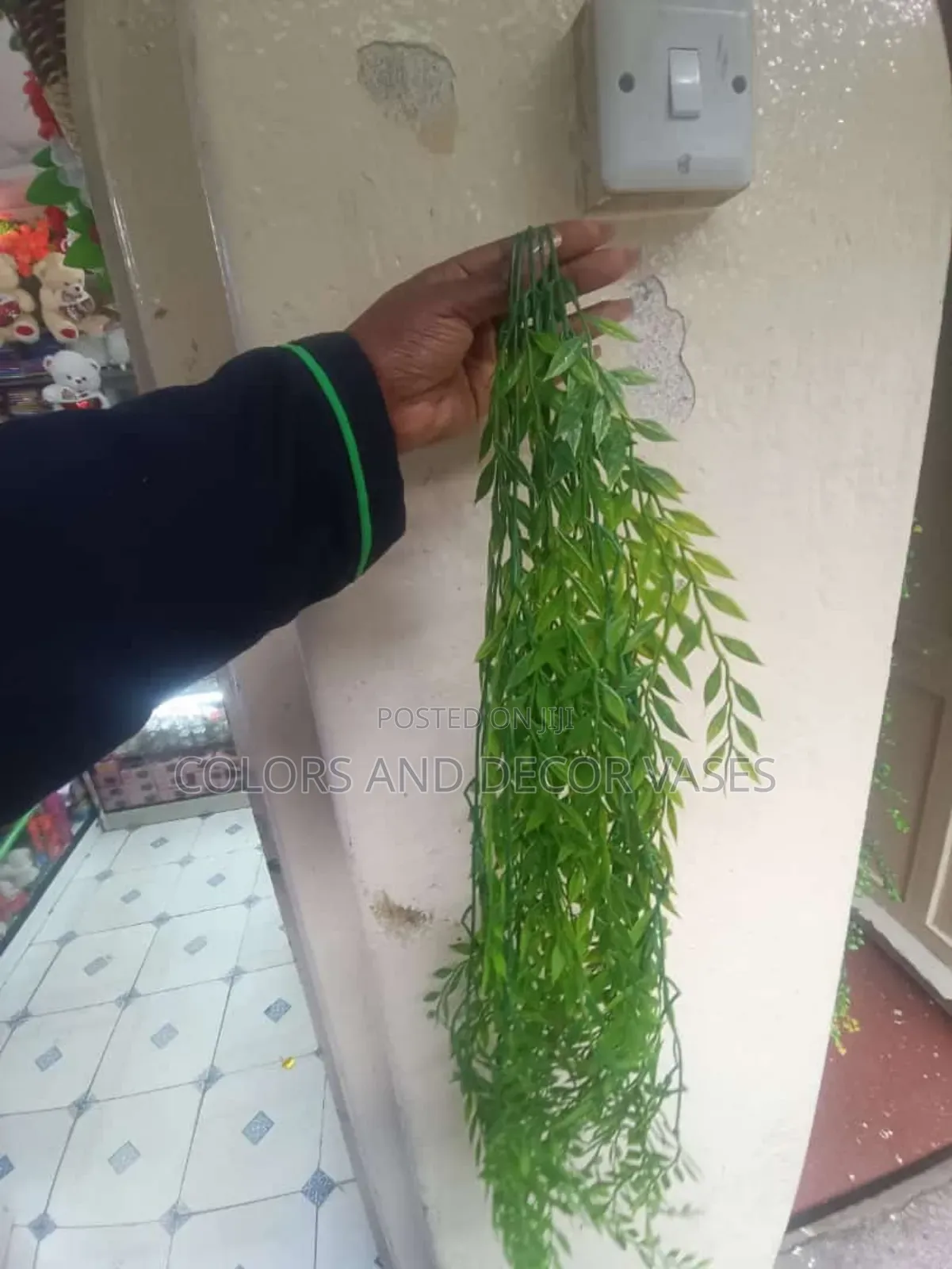 Vines To Decor Your Walls