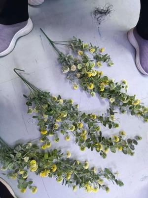 Vines Variety Available Call - thumbnail 2