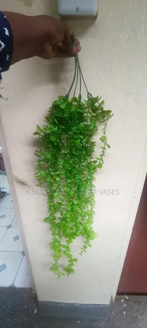 Green Vines Indoor and Outdoor Decor
