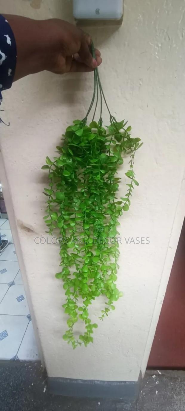 Green Vines Indoor and Outdoor Decor