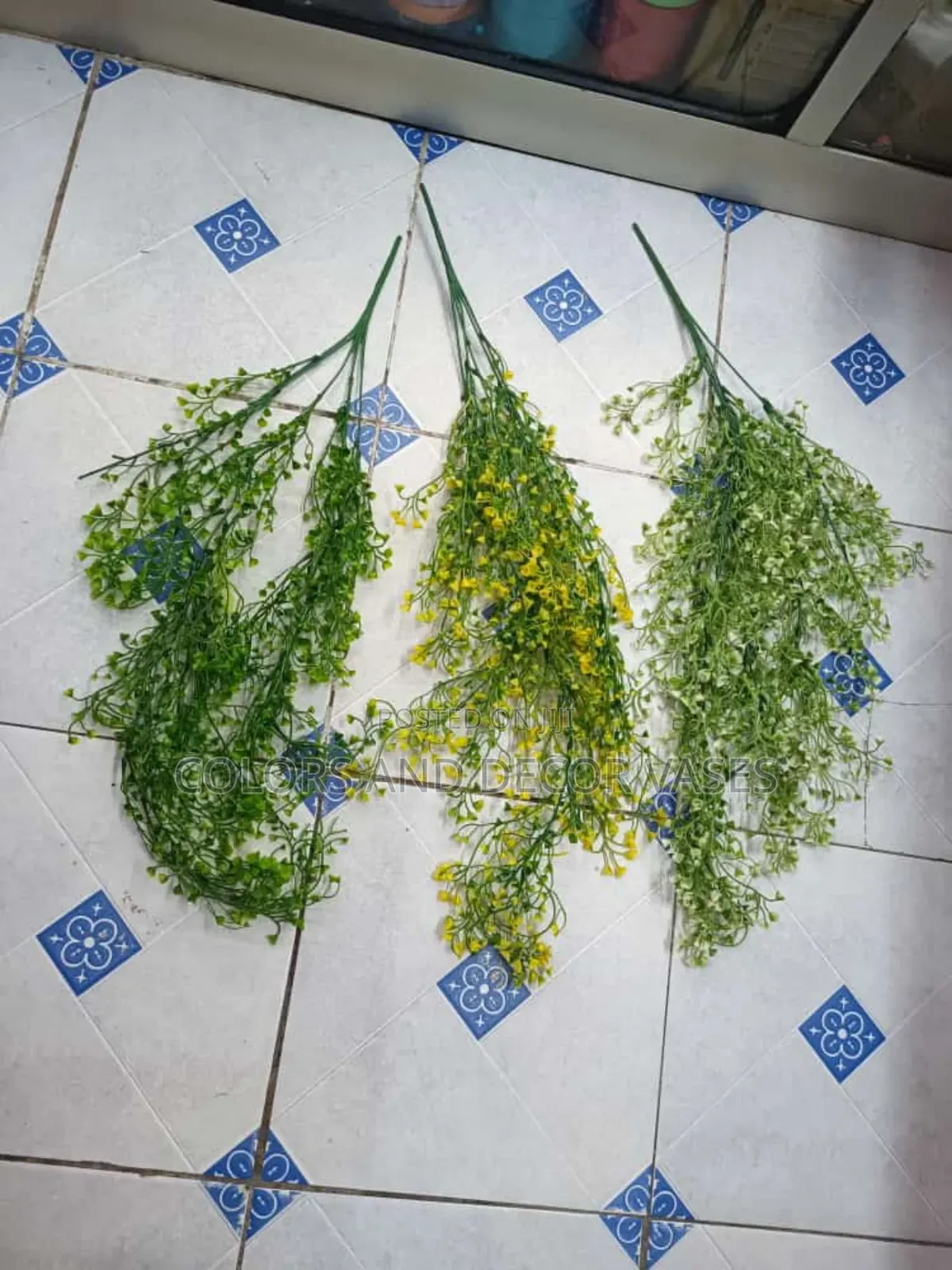 Vines Variety in Stock Call