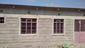 50*100 Plot for Sale