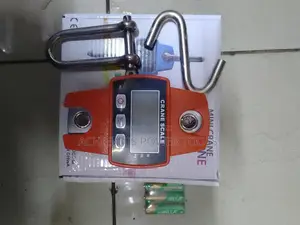 300kgs Mini Crane