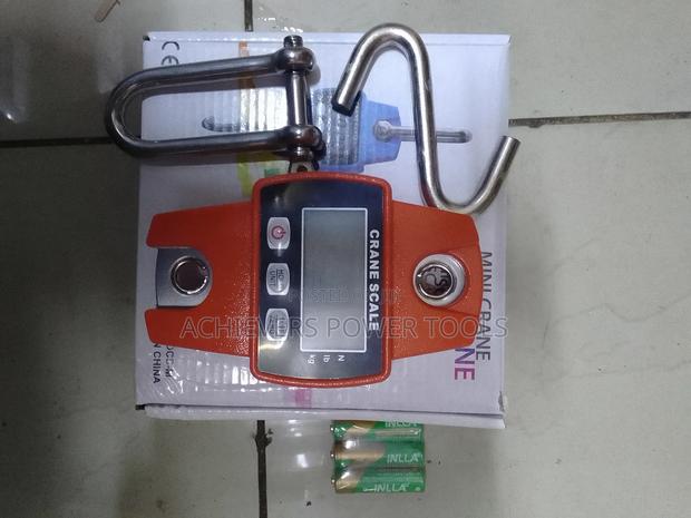 300kgs Mini Crane - main view