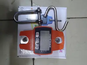 Crane Scale/Crane Scale 300kgs