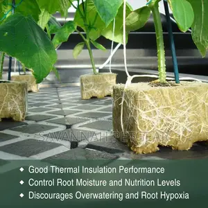 Hydroponic Rock Wool Perfect for Soilless Farming