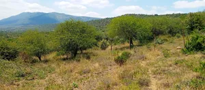 1 Acre for Sale - Kisamis, Corner Baridi