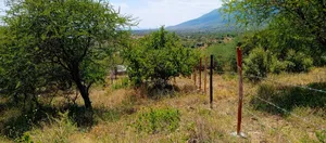 1 Acre for Sale - Kisamis, Corner Baridi