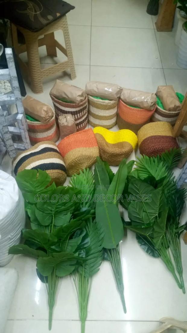 Beautiful Baskets and Plants Offer Price