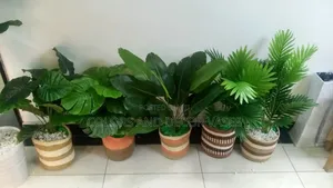 Beautiful Colorful Baskets With Plants to Suit Your Home