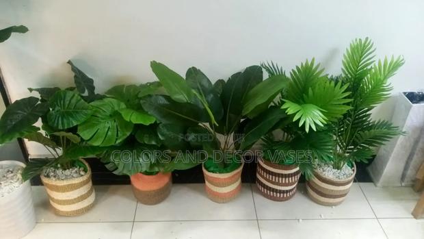 Beautiful Colorful Baskets With Plants to Suit Your Home