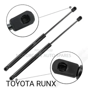 Toyota Corolla Runx Boot Shocks