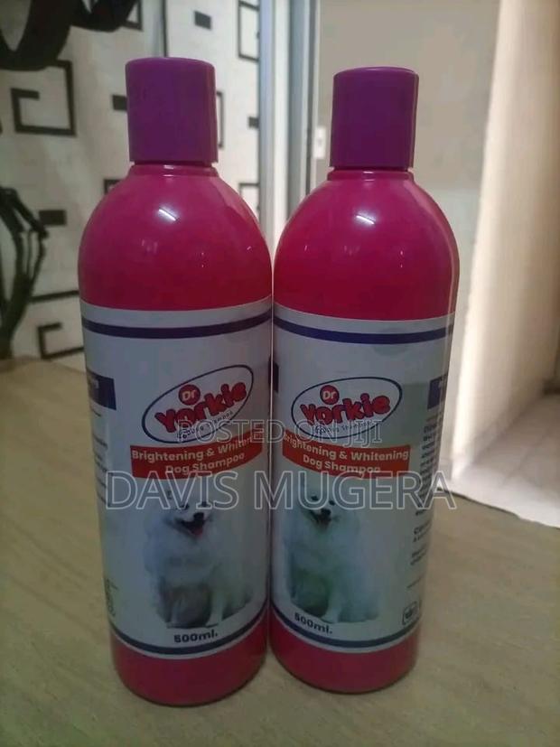 Dr. Yorkie Fur-Whitening Shampoo for Dogs - main view