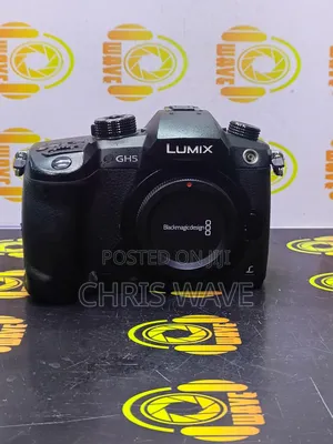Panasonic Lumix Gh5 Mirrorless Camera