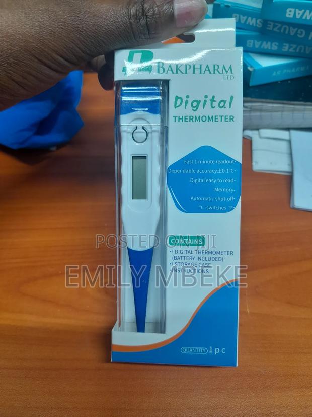 Digital Thermometer - main view